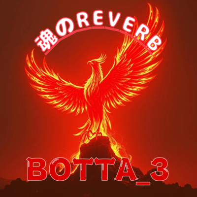 Soul's Reverb Front Cover