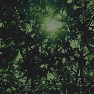 Kotoba ni tsuite Front Cover