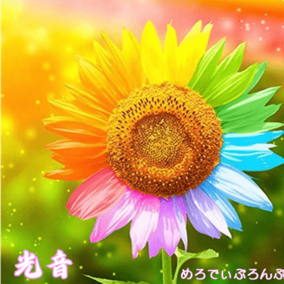 光音のジャケット写真