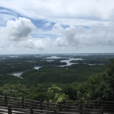 See Ya! ~to the next world~ Front Cover