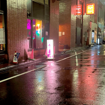 愛した残骸のジャケット写真