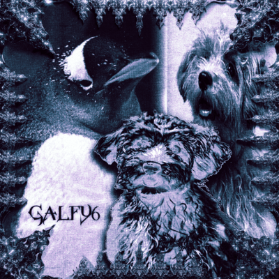 GALFY6のジャケット写真