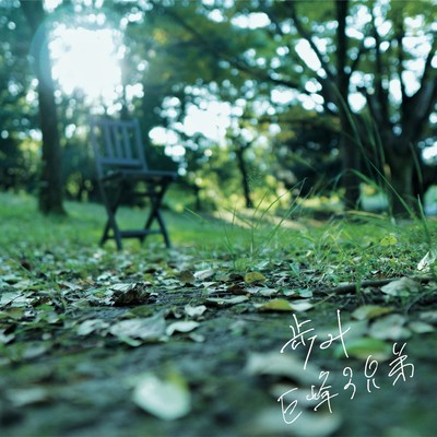 Steps Front Cover