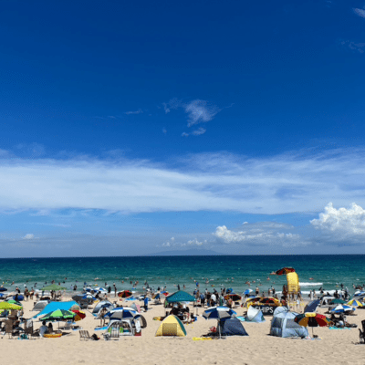 never ending summer Front Cover