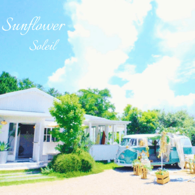 Sunflowerのジャケット写真