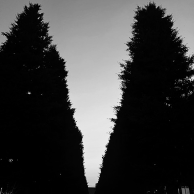 Chikaiのジャケット写真