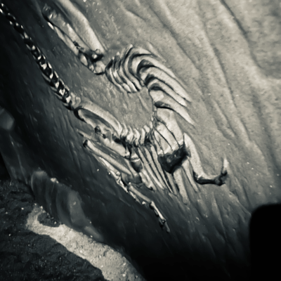 No Reason, No Doubtのジャケット写真