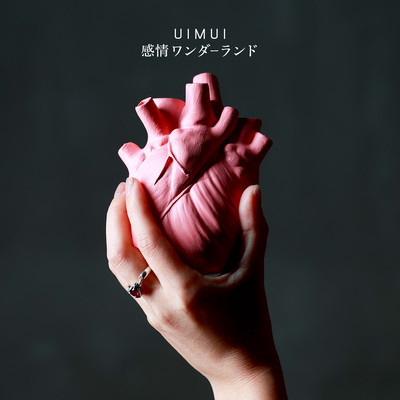 Emotions Wonderland Front Cover