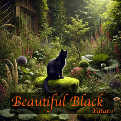 Beautiful Black Front Cover