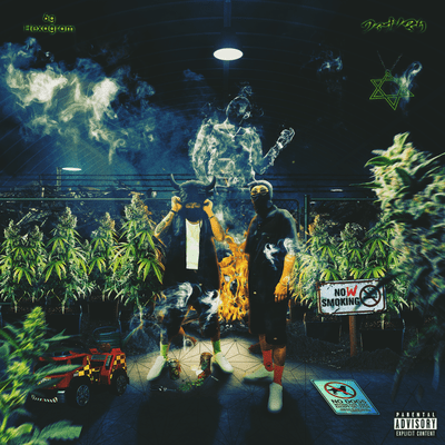 Hua na no mari Front Cover