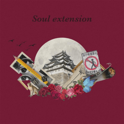 Soul extension Front Cover