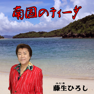 南国のティーダのジャケット写真