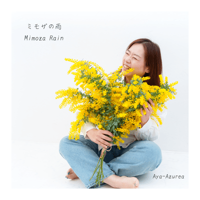 ミモザの雨のジャケット写真