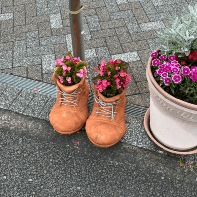 まだだ!!!のジャケット写真