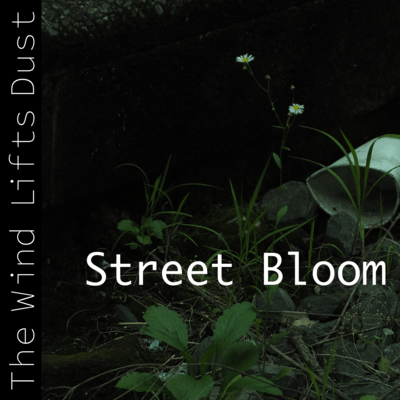 The Wind Lifts Dust Front Cover