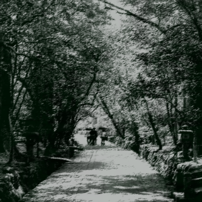 Ji-Youのジャケット写真