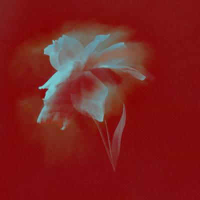 City of Dreams Front Cover