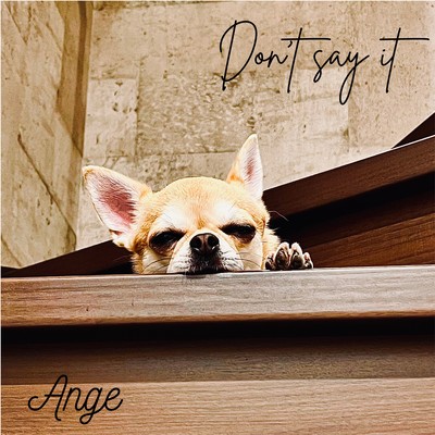 Don't say it Front Cover