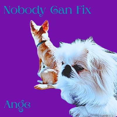 Nobody can fixのジャケット写真