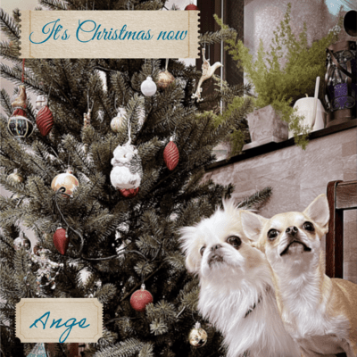 It's Christmas nowのジャケット写真