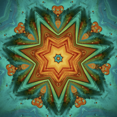 Way of life Front Cover