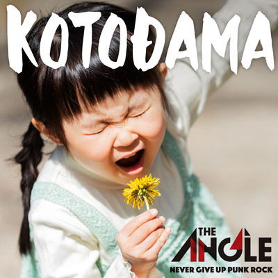 KOTODAMAのジャケット写真