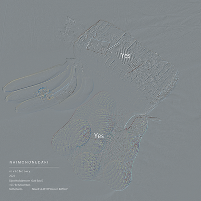 NAIMONONEDARI Front Cover