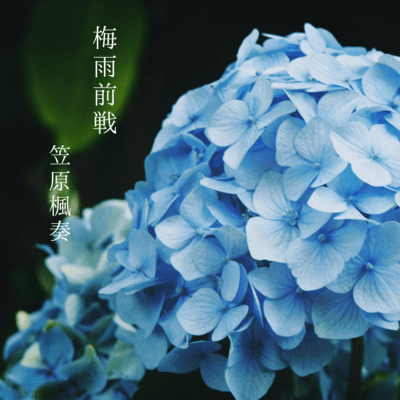 Baiuzensen Front Cover