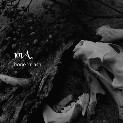bone 'n' ash Front Cover