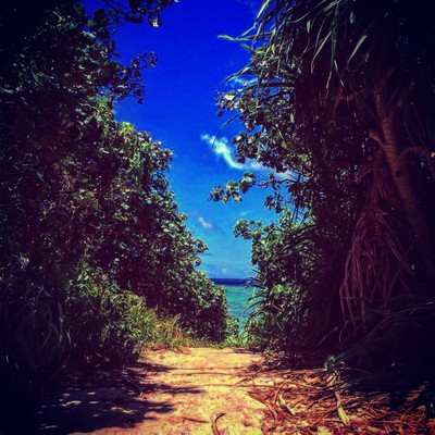 Always remember Front Cover