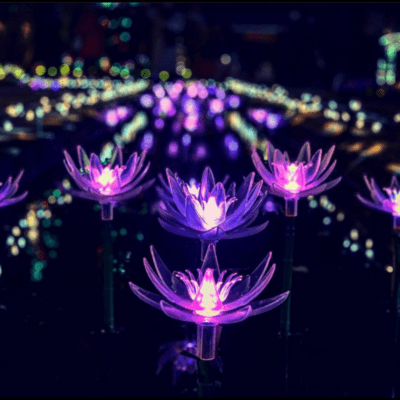 きっと、うまくいくからのジャケット写真