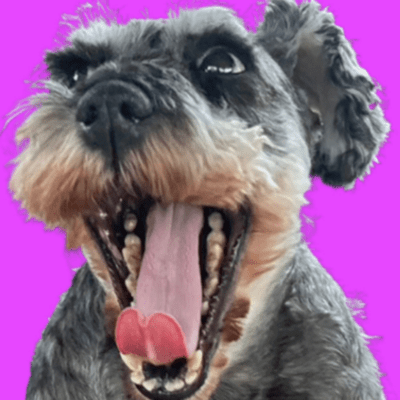 Wenny my love Front Cover