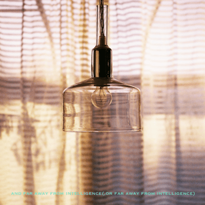 and far away from intelligence (, or far away from intelligence) Front Cover