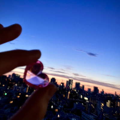 かき氷とソーダのジャケット写真