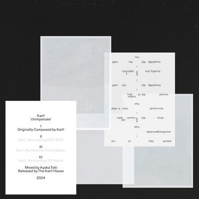 chimpanzeeのジャケット写真