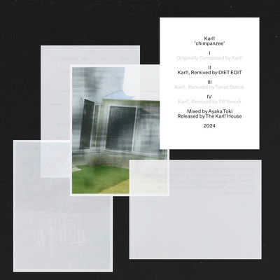 chimpanzee (Remixed by DIET EDIT) Front Cover