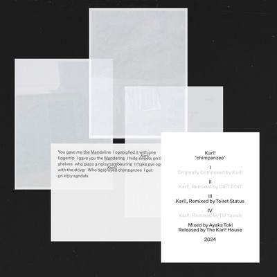 chimpanzee (Remixed by Toiret Status) Front Cover