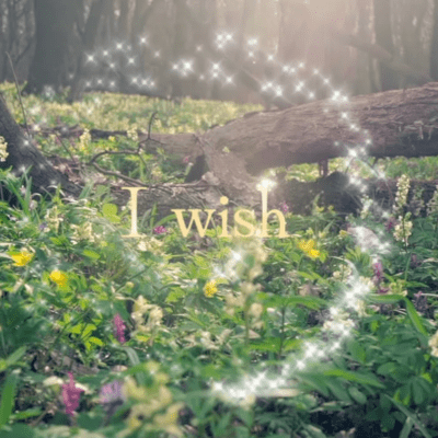 I wish ~For You to Love Yourself~ Front Cover