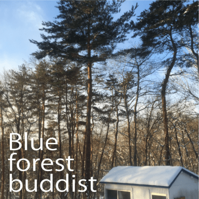 voice of the forest Front Cover