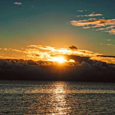 Okinawan Red Front Cover