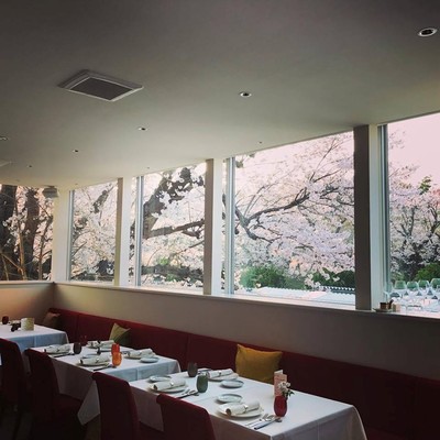 Pétale de Sakura Front Cover