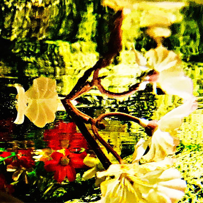 Fleeting Front Cover