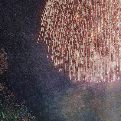 しだれ柳のジャケット写真