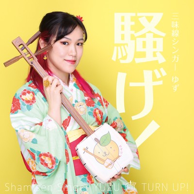 騒げ!のジャケット写真