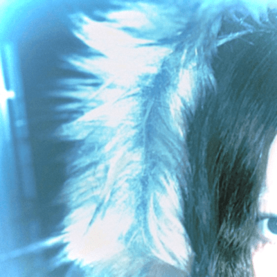 moth / Tears broken Front Cover