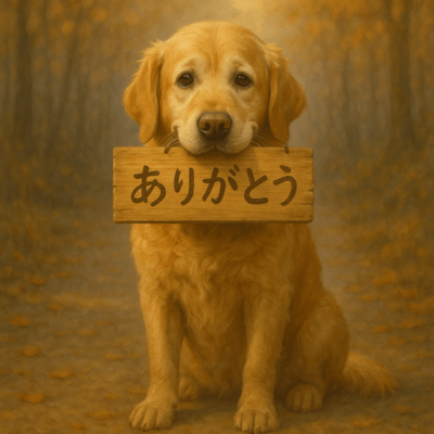 君と歩いたのジャケット写真