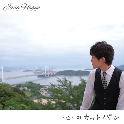 Bandages of the heart Front Cover