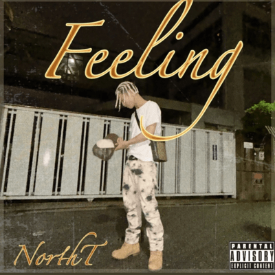 Feeling Front Cover