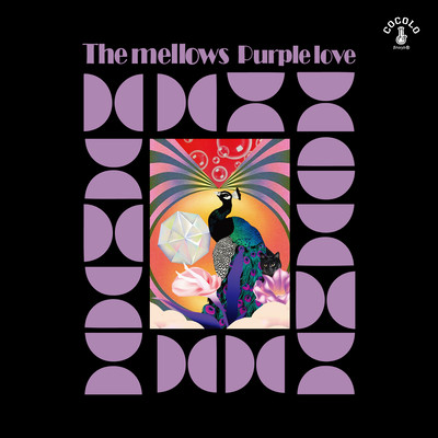 Purple Love Front Cover