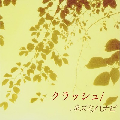 Crash Front Cover